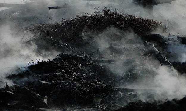 Fotos: Carlos Mossmann