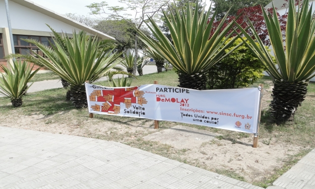 Fotografias: Katia Helena R. Dias