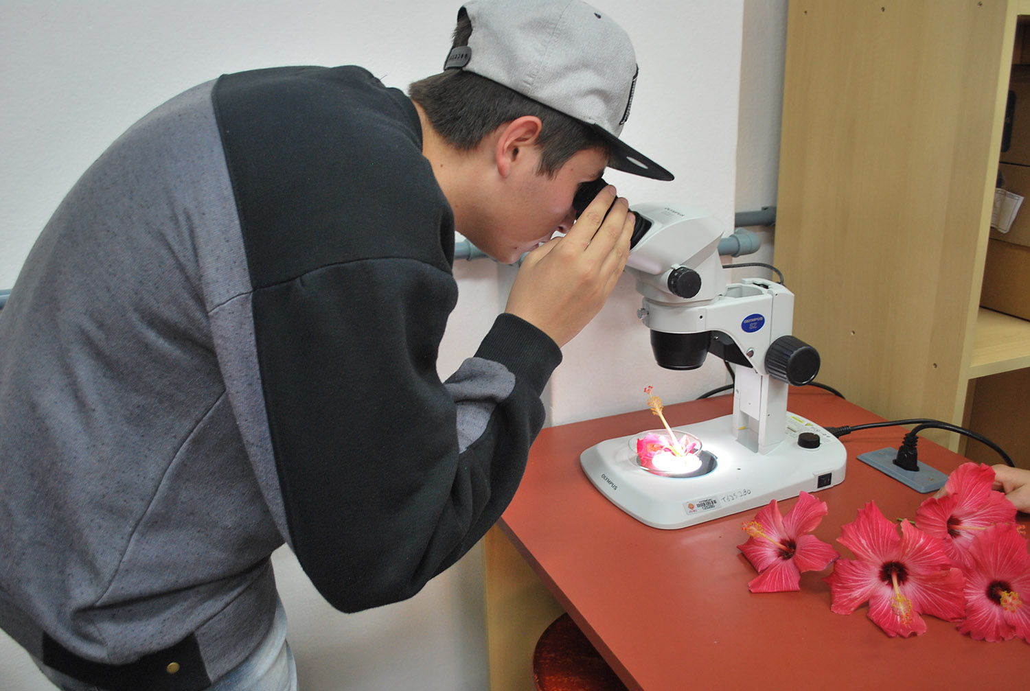 Apresentação do laboratório de microscopia
